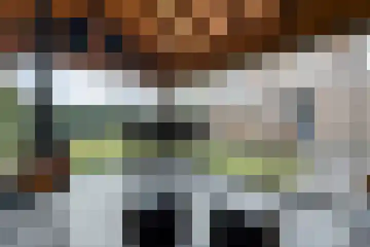 Swankhuisenwerf 8 Dedemsvaart thumbnail 78