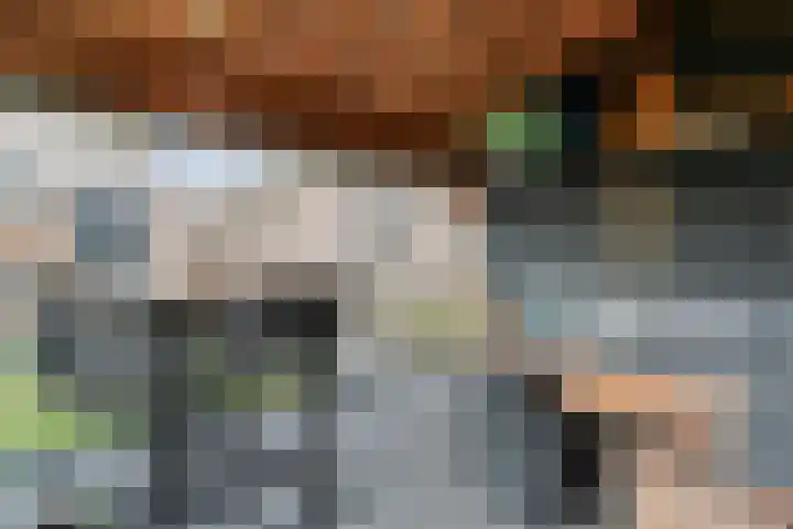 Swankhuisenwerf 8 Dedemsvaart thumbnail 79