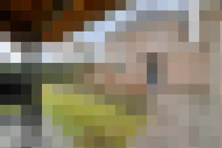 Swankhuisenwerf 8 Dedemsvaart thumbnail 80