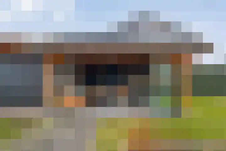 Swankhuisenwerf 8 Dedemsvaart thumbnail 81