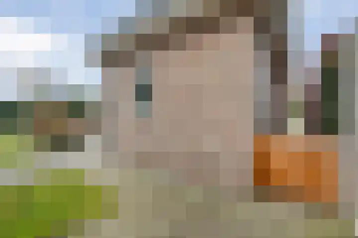 Swankhuisenwerf 8 Dedemsvaart thumbnail 82