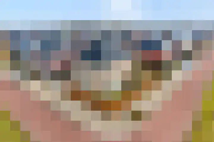 Swankhuisenwerf 8 Dedemsvaart thumbnail 83