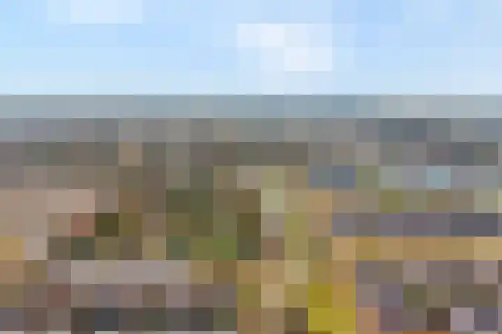 Swankhuisenwerf 8 Dedemsvaart thumbnail 85