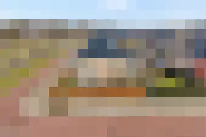 Swankhuisenwerf 8 Dedemsvaart thumbnail 86