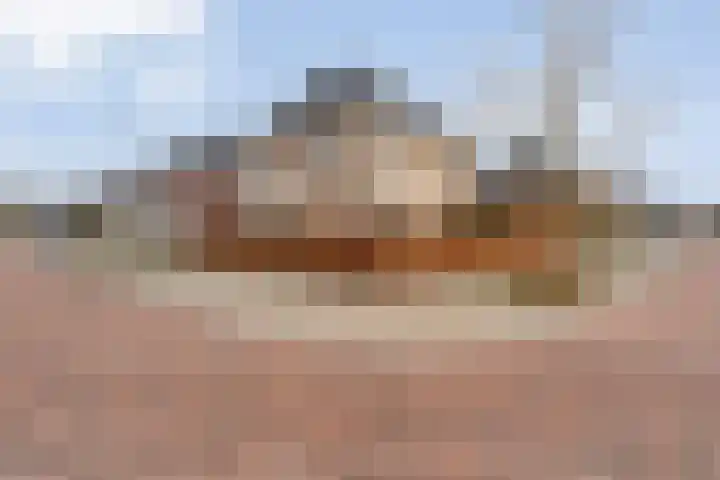 Swankhuisenwerf 8 Dedemsvaart thumbnail 88