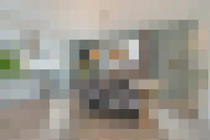Swankhuisenwerf 8 Dedemsvaart thumbnail 9