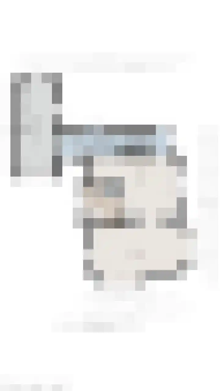 Swankhuisenwerf 8 Dedemsvaart thumbnail 92