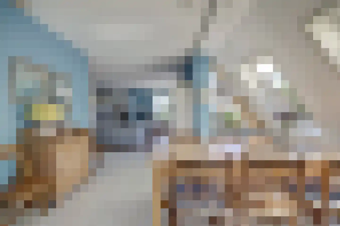Swanneblom 18 Koudum thumbnail 10