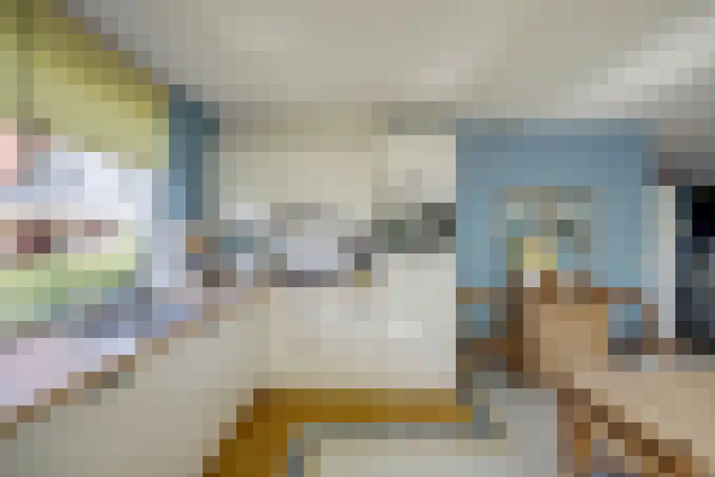 Swanneblom 18 Koudum thumbnail 13