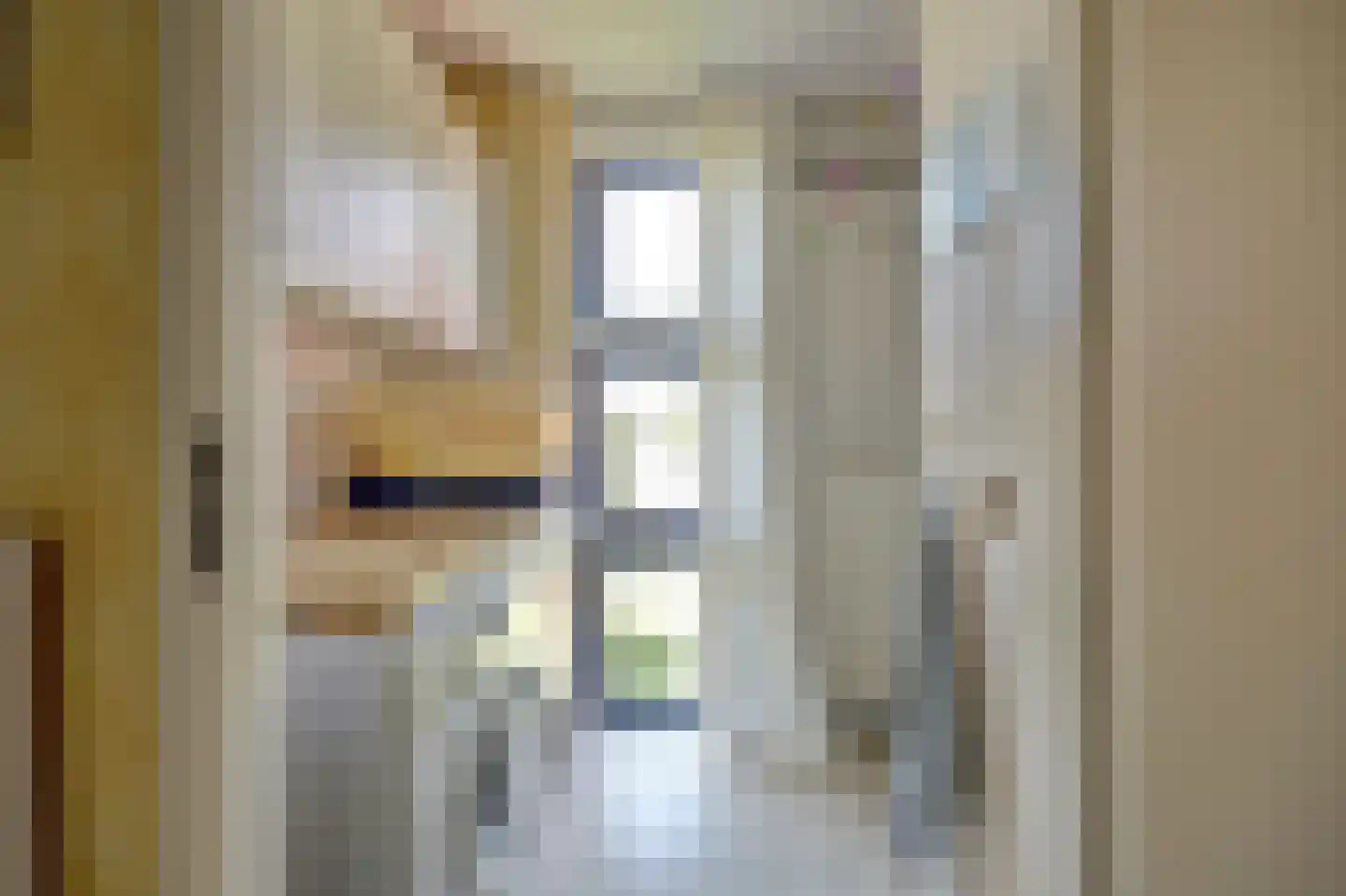 Swanneblom 18 Koudum thumbnail 14