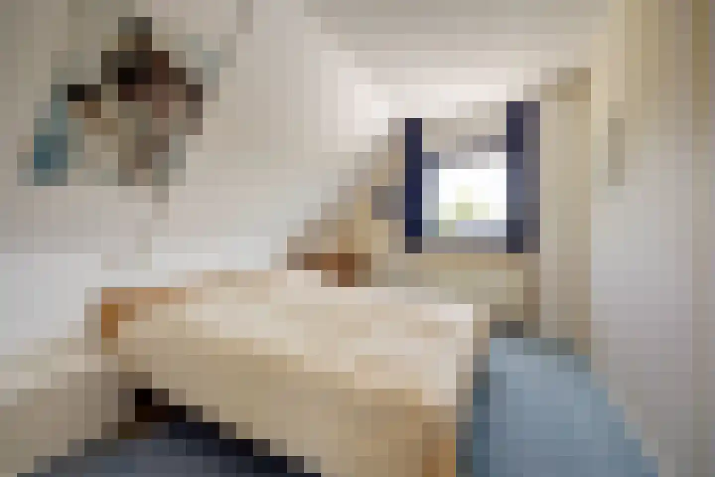 Swanneblom 18 Koudum thumbnail 16