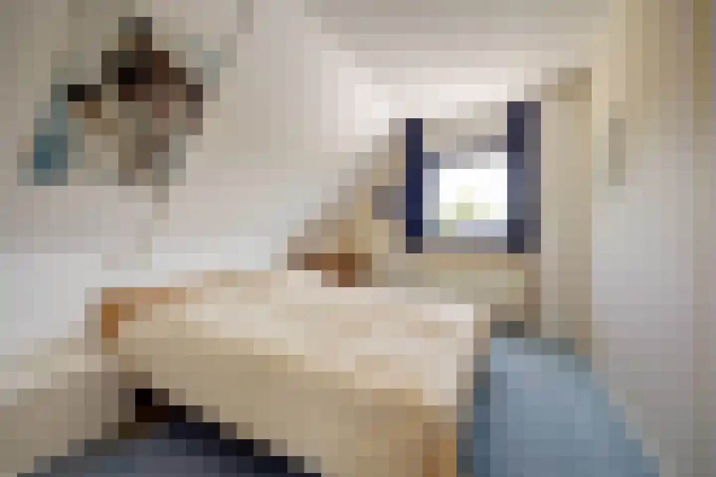 Swanneblom 18 Koudum thumbnail 16