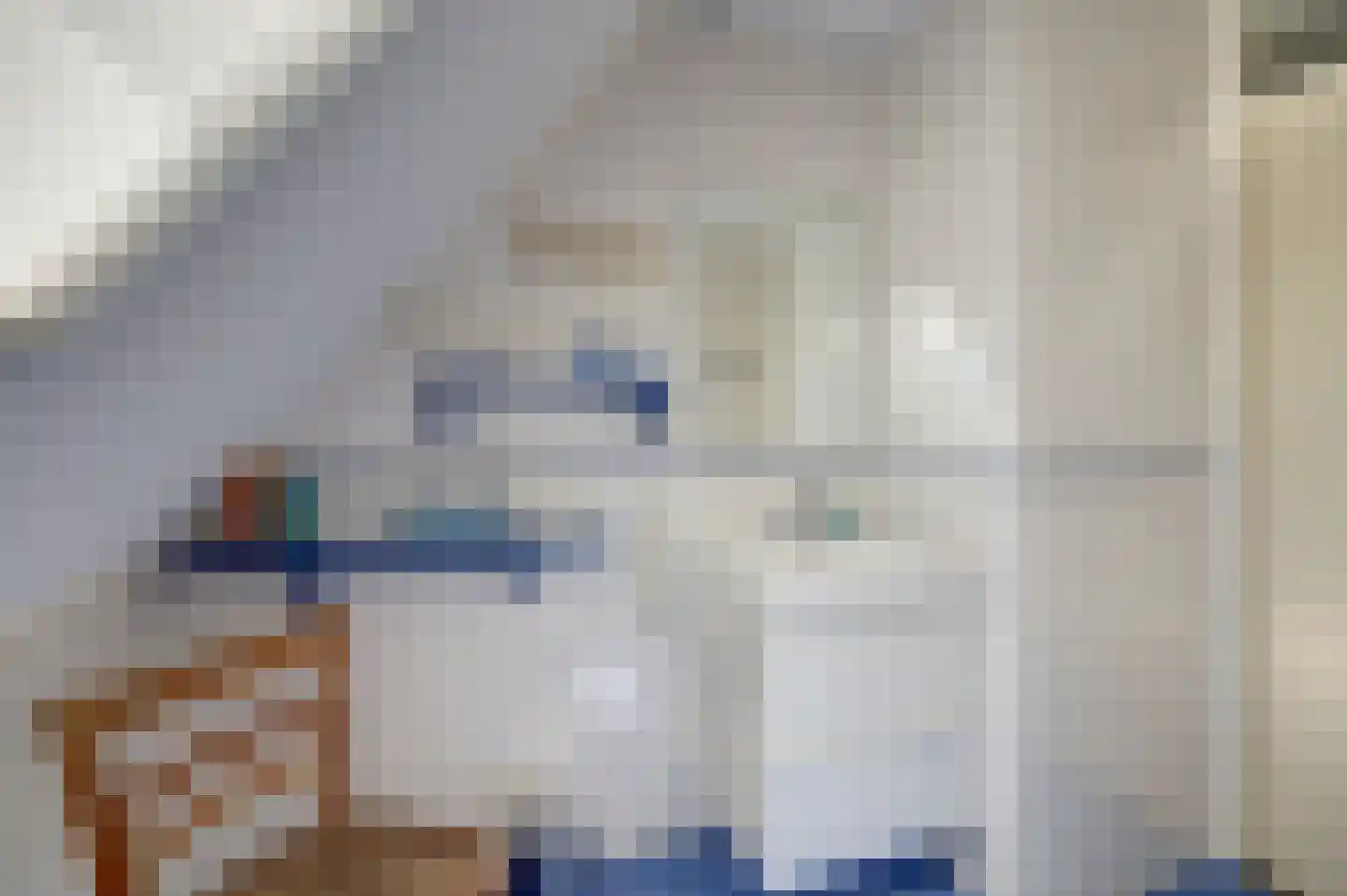 Swanneblom 18 Koudum thumbnail 19