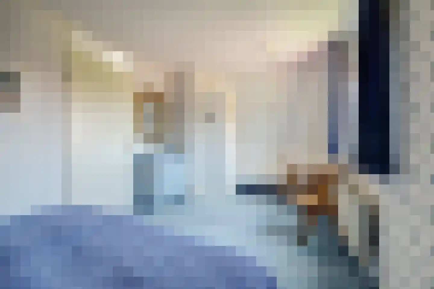 Swanneblom 18 Koudum thumbnail 21