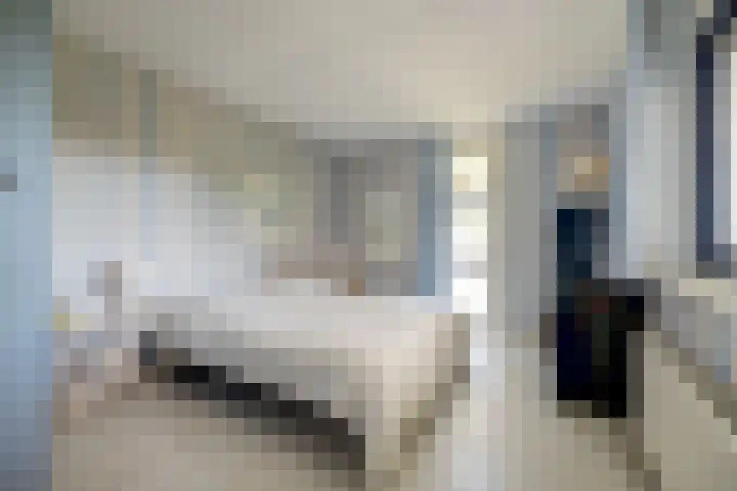 Swanneblom 18 Koudum thumbnail 22