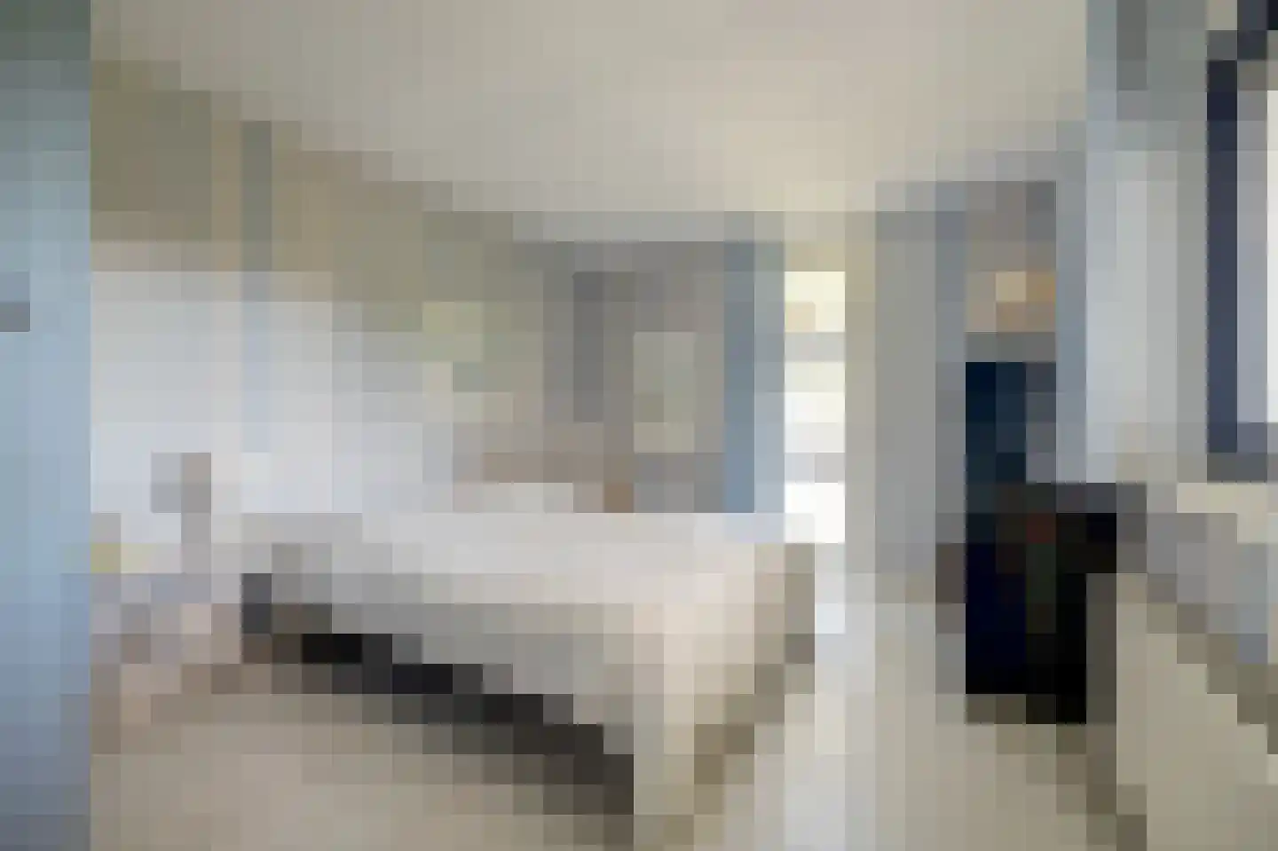 Swanneblom 18 Koudum thumbnail 22