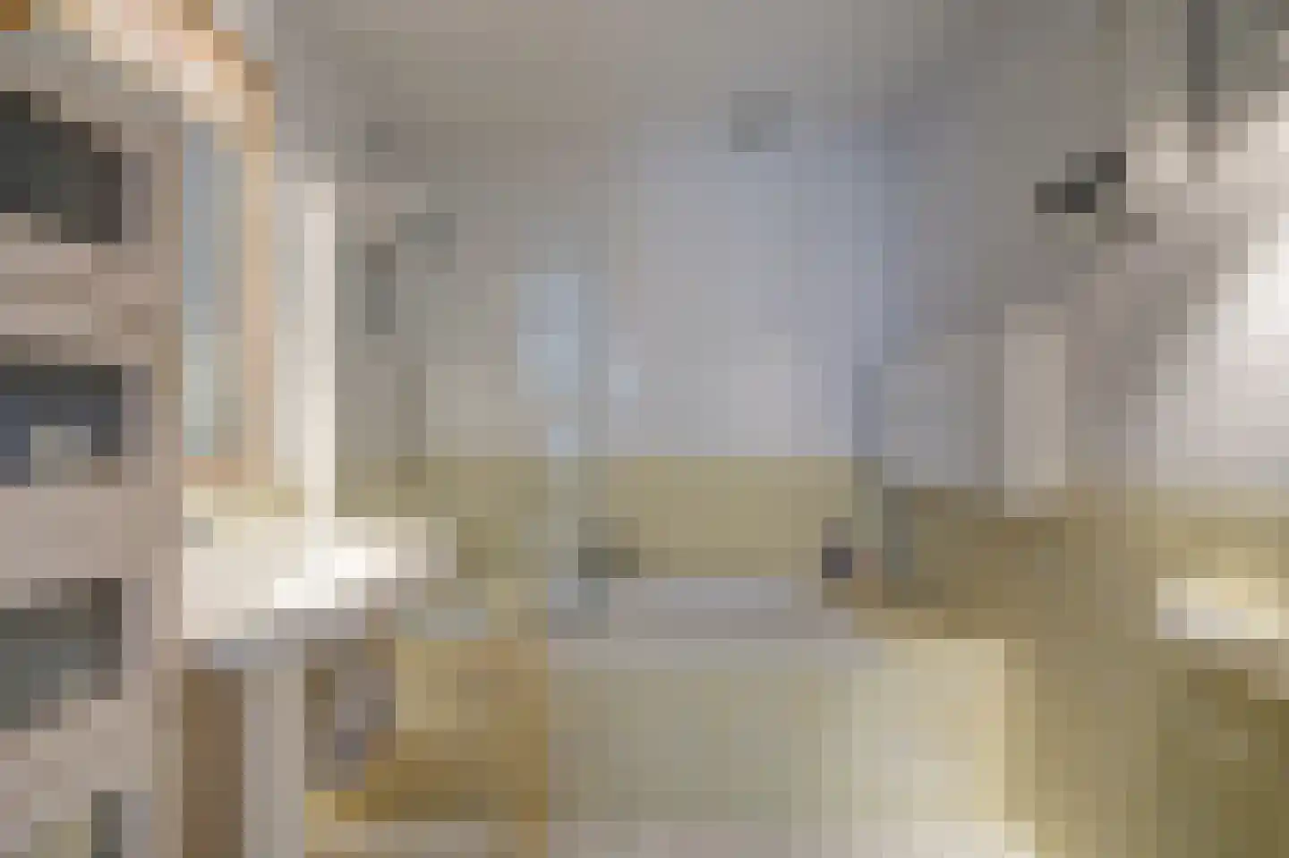 Swanneblom 18 Koudum thumbnail 23