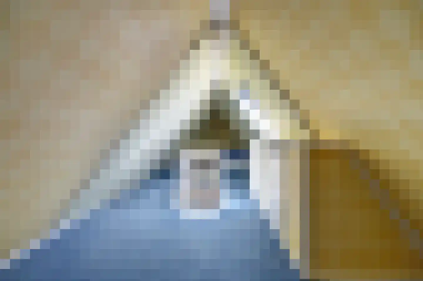 Swanneblom 18 Koudum thumbnail 25