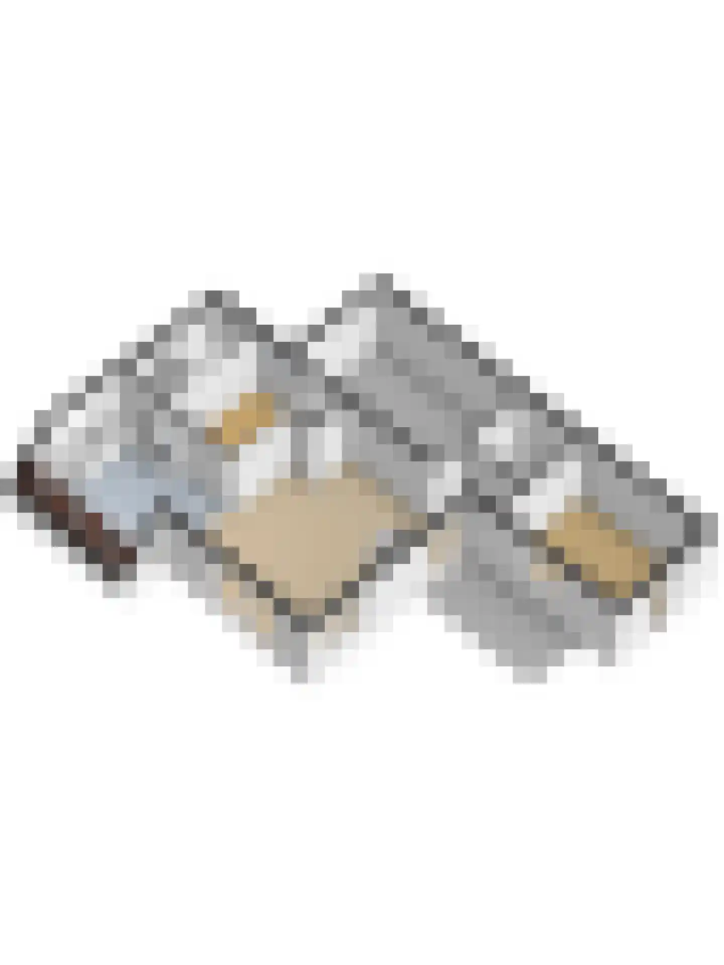 Swanneblom 18 Koudum thumbnail 37