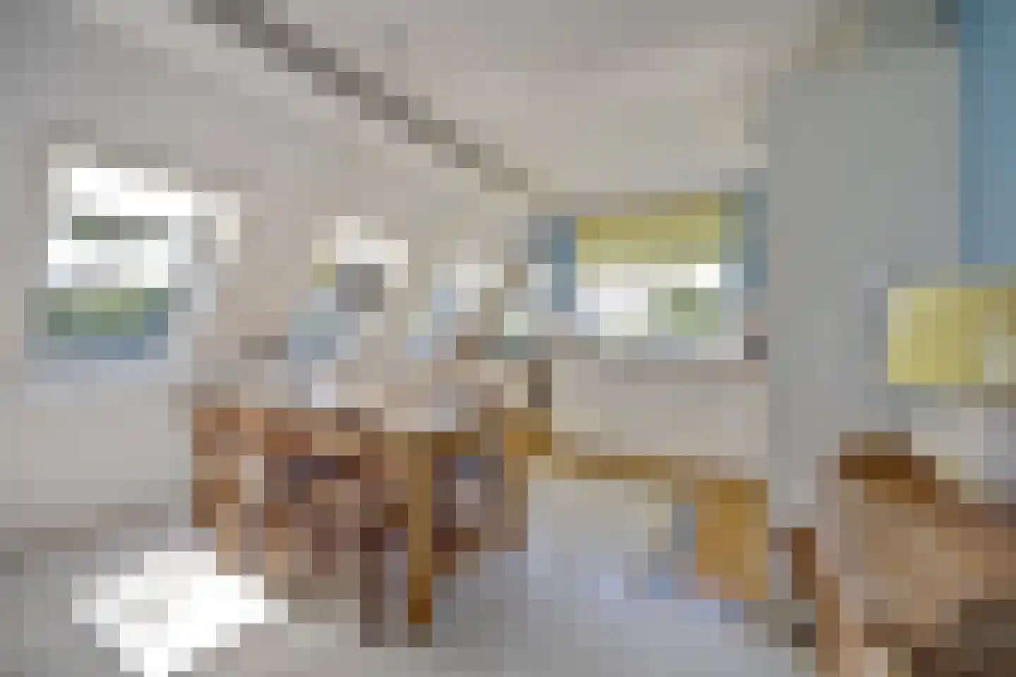 Swanneblom 18 Koudum thumbnail 4