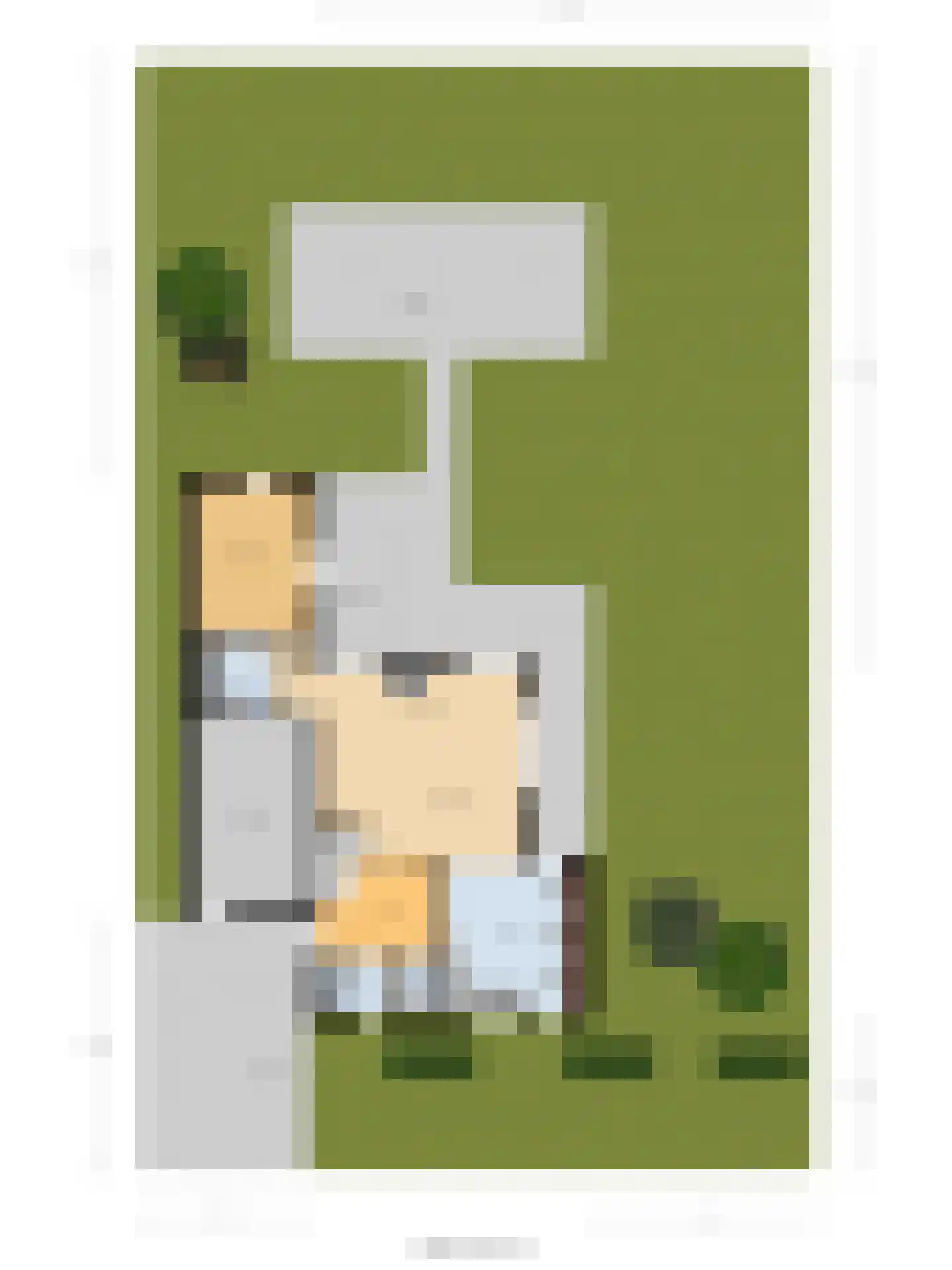 Swanneblom 18 Koudum thumbnail 42