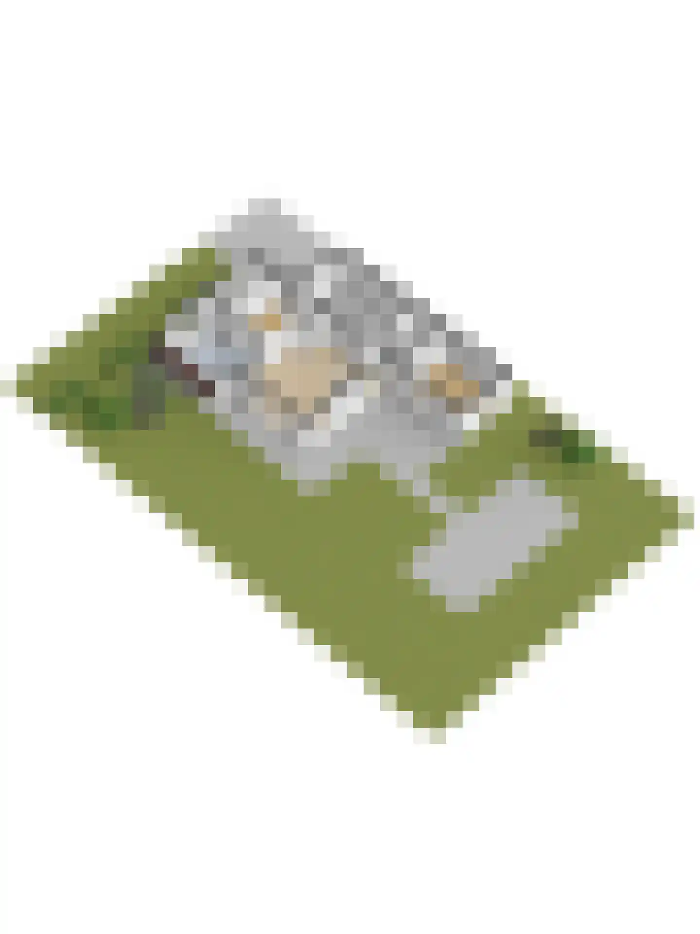 Swanneblom 18 Koudum thumbnail 43