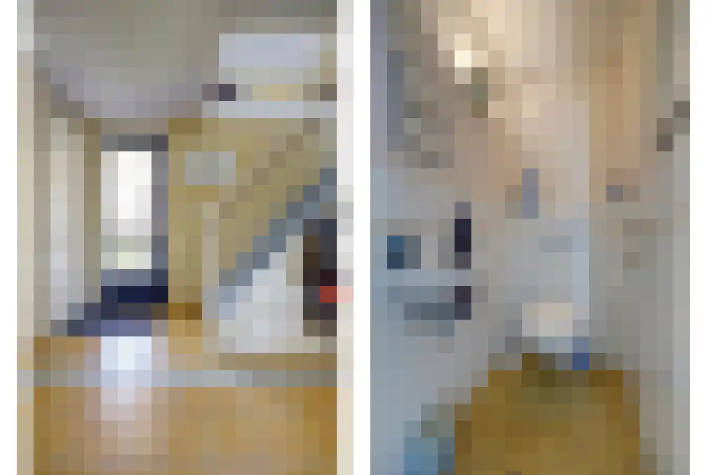 Swanneblom 18 Koudum thumbnail 5