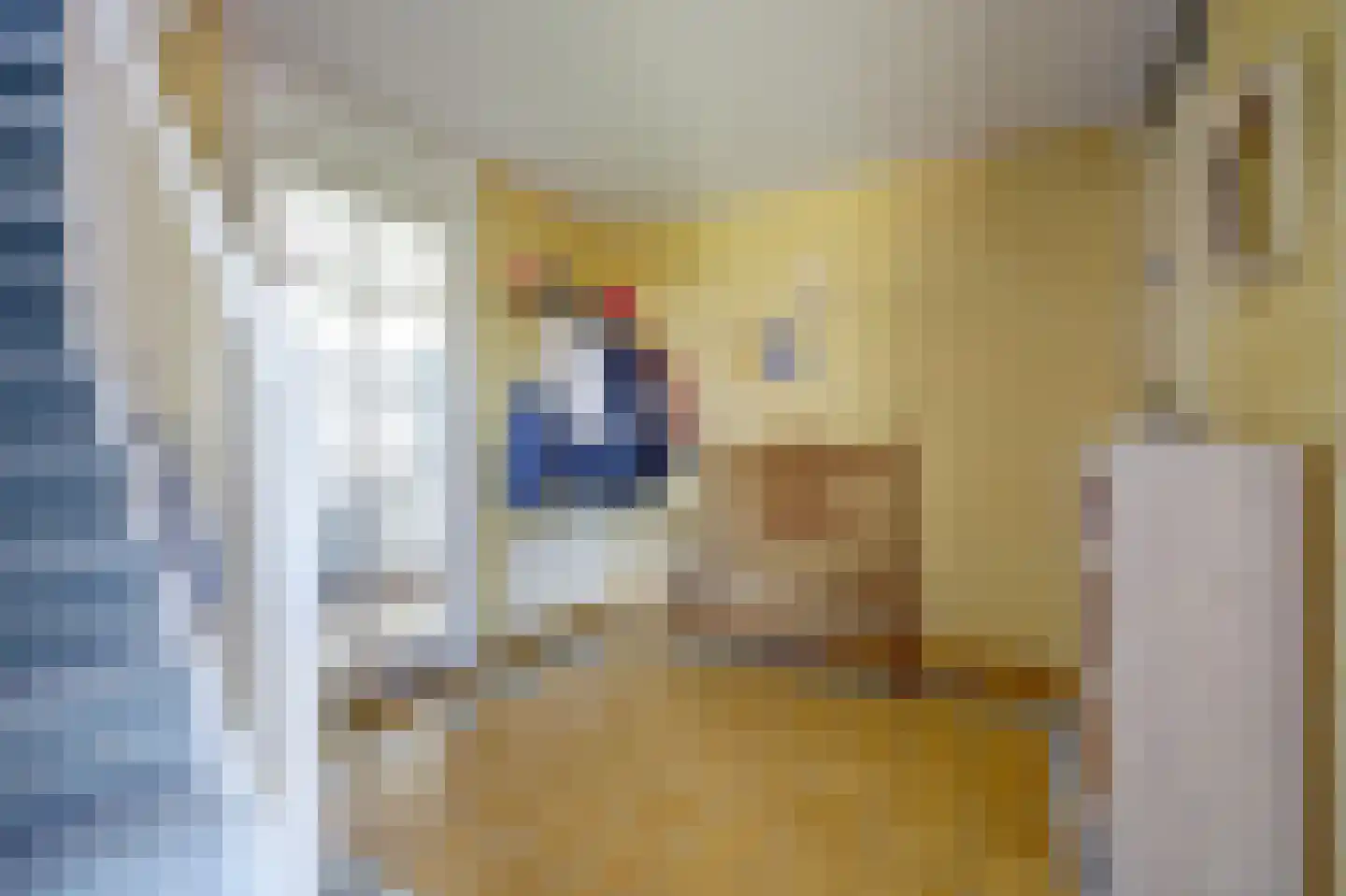 Swanneblom 18 Koudum thumbnail 6