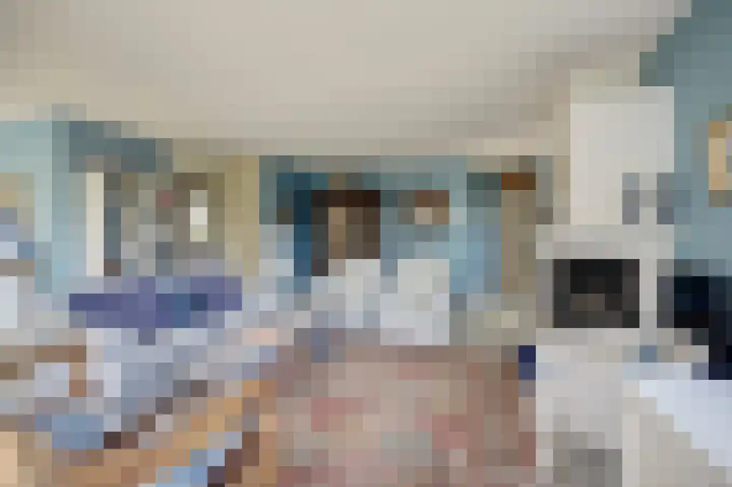 Swanneblom 18 Koudum thumbnail 8
