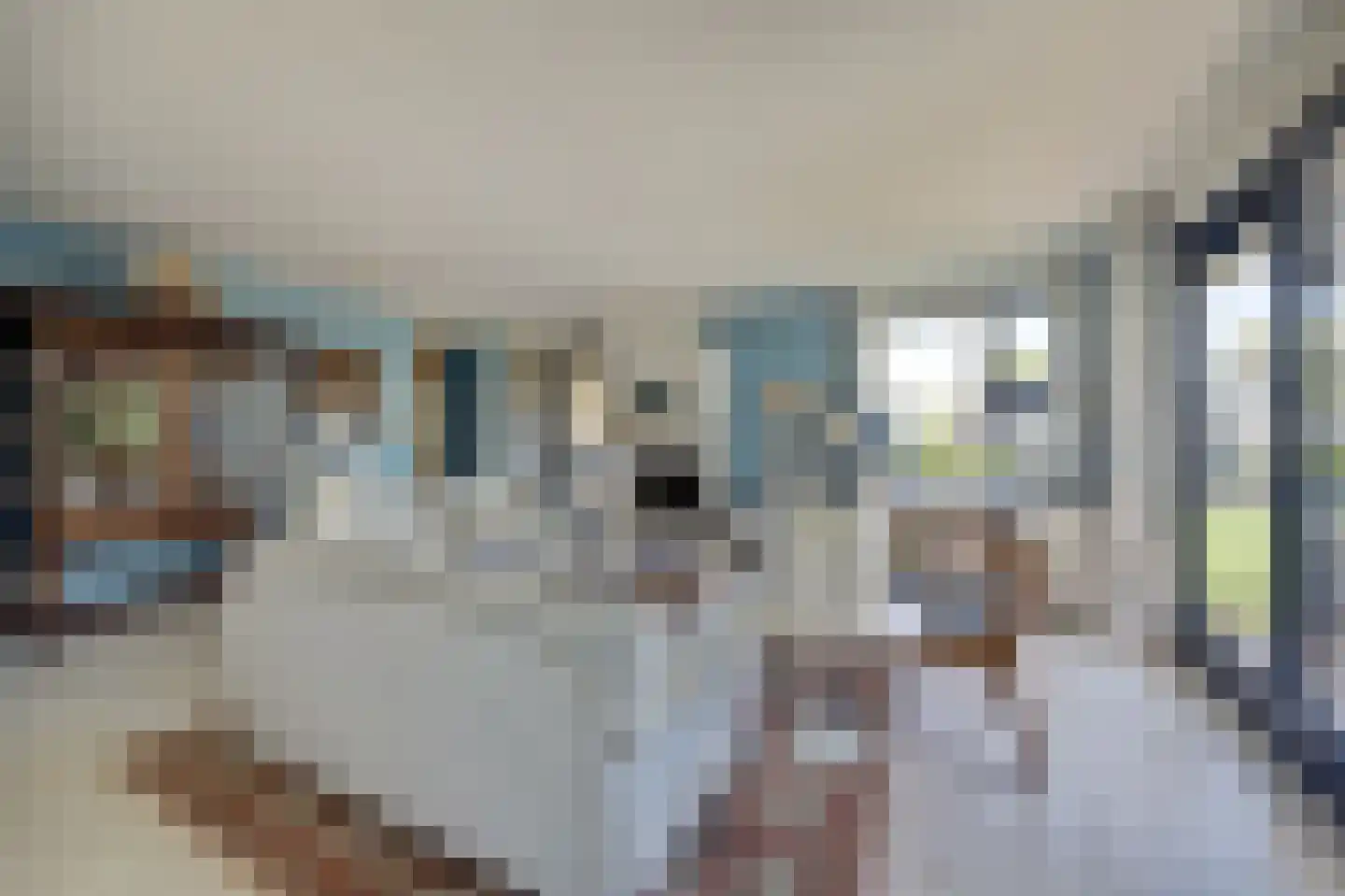 Swanneblom 18 Koudum thumbnail 9