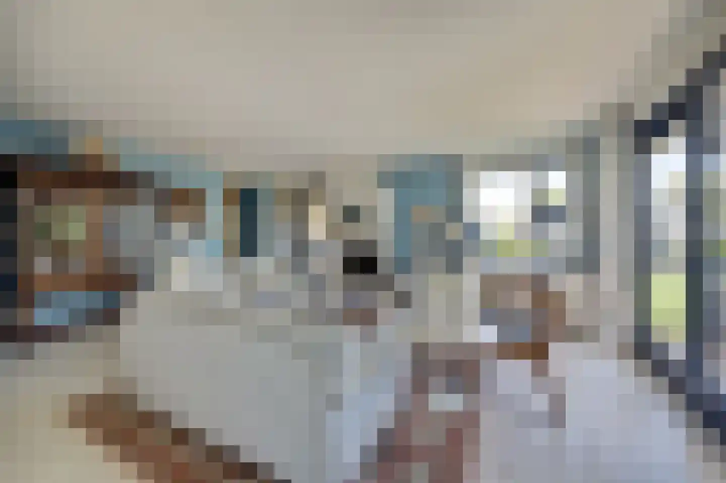 Swanneblom 18 Koudum thumbnail 9