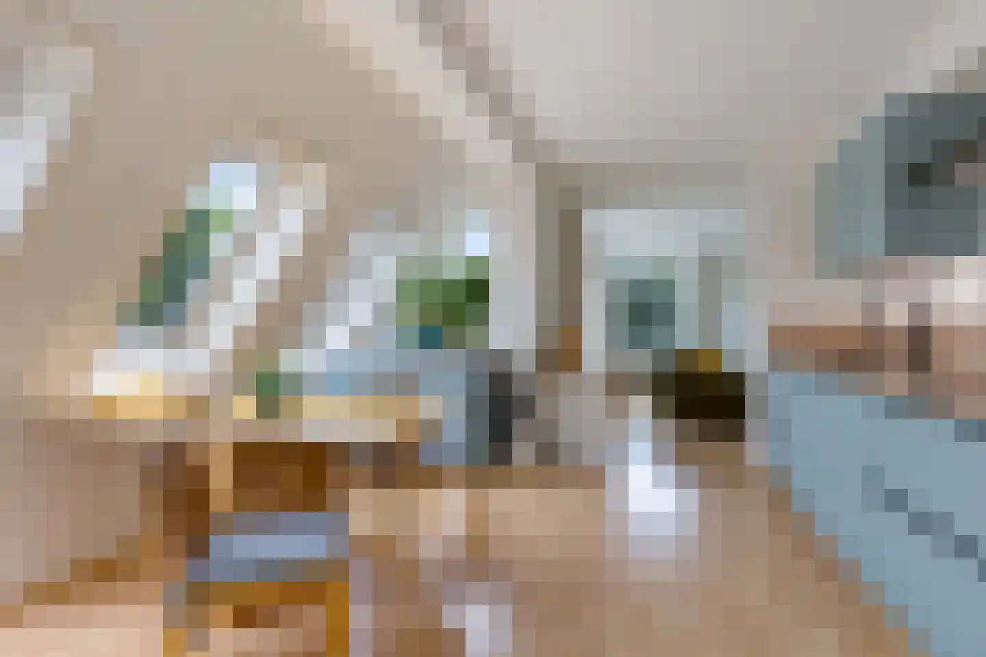 Swanneblom 8 Koudum thumbnail 15