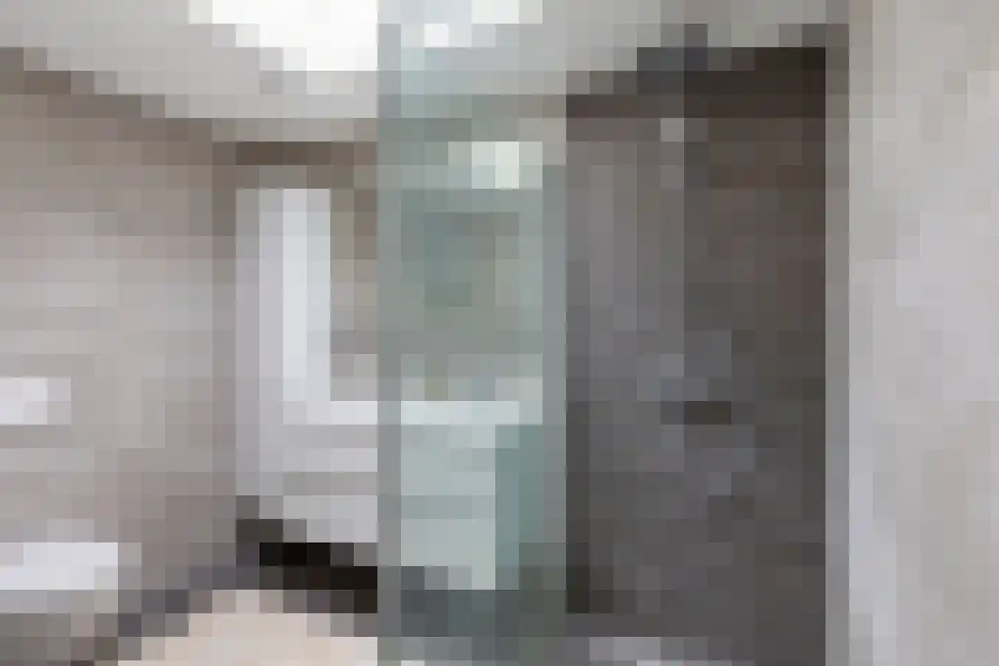 Swanneblom 8 Koudum thumbnail 18