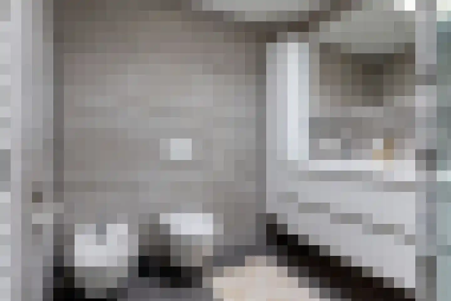 Swanneblom 8 Koudum thumbnail 19