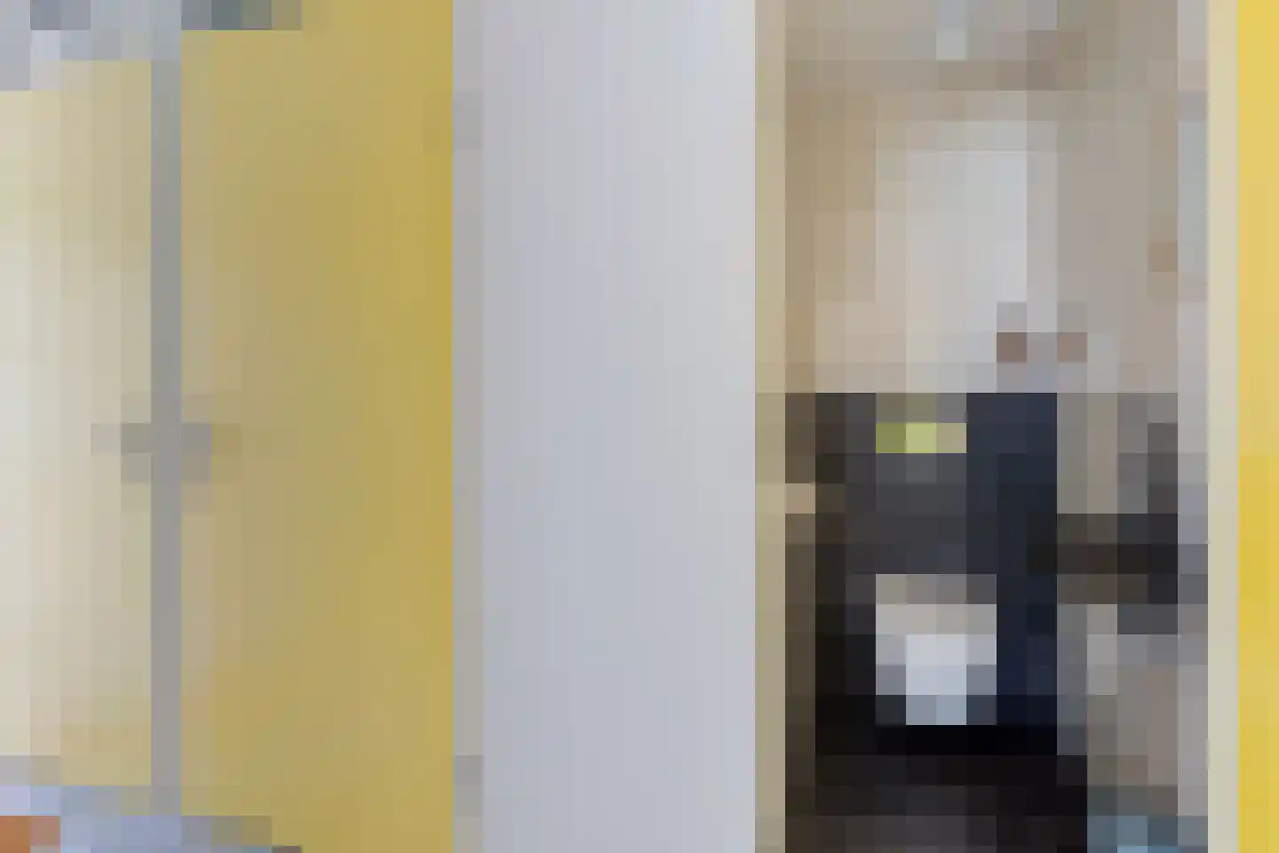 Swanneblom 8 Koudum thumbnail 21