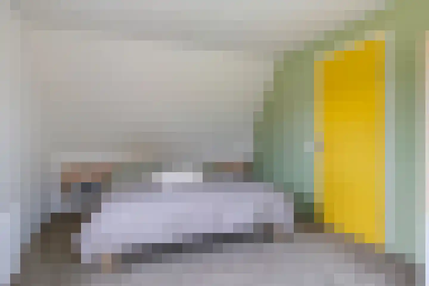 Swanneblom 8 Koudum thumbnail 25