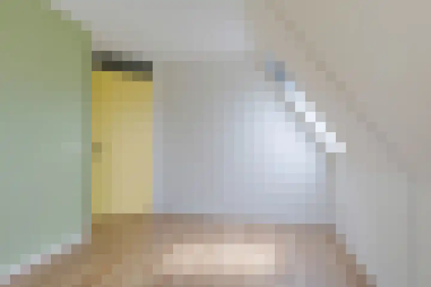 Swanneblom 8 Koudum thumbnail 28