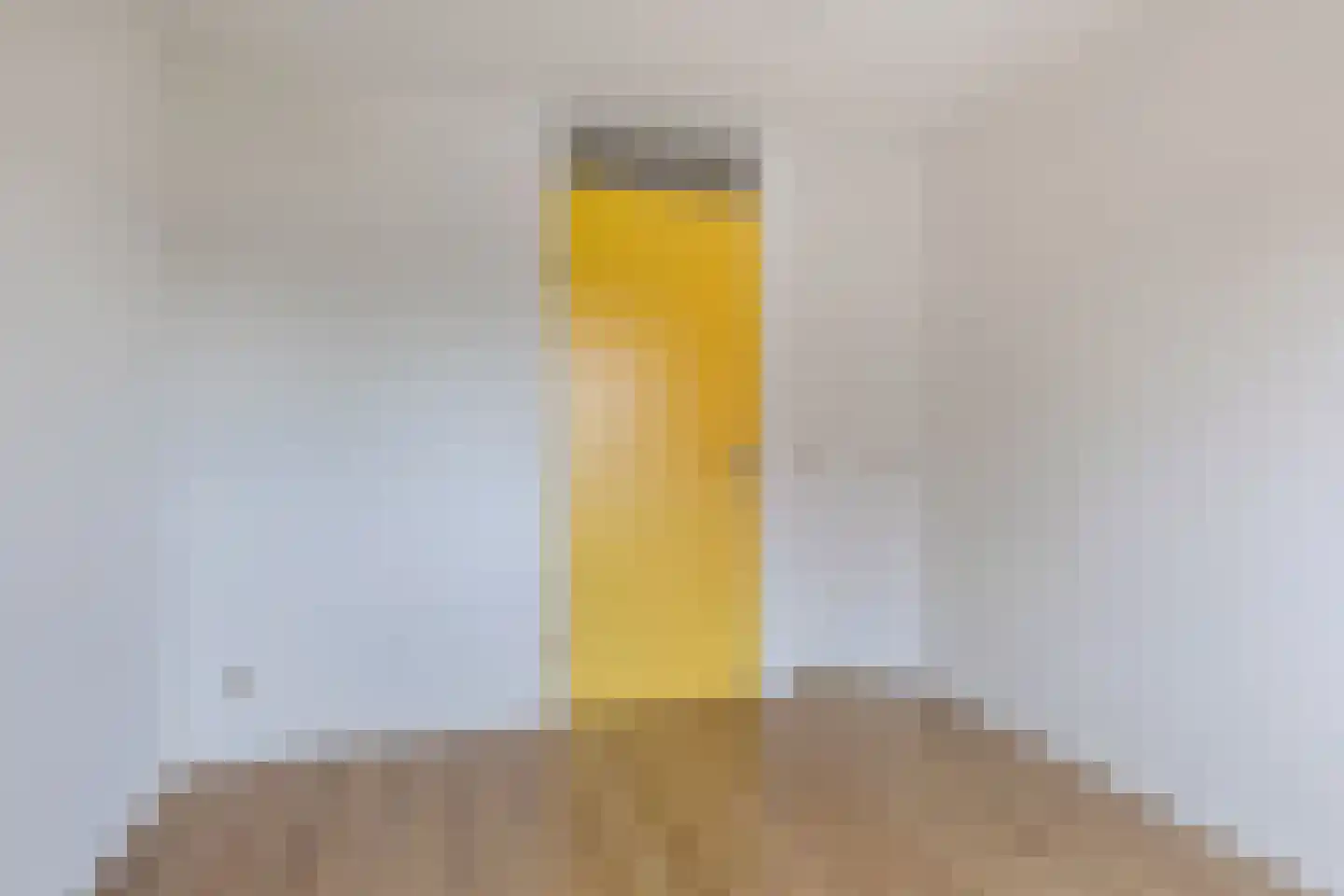 Swanneblom 8 Koudum thumbnail 30