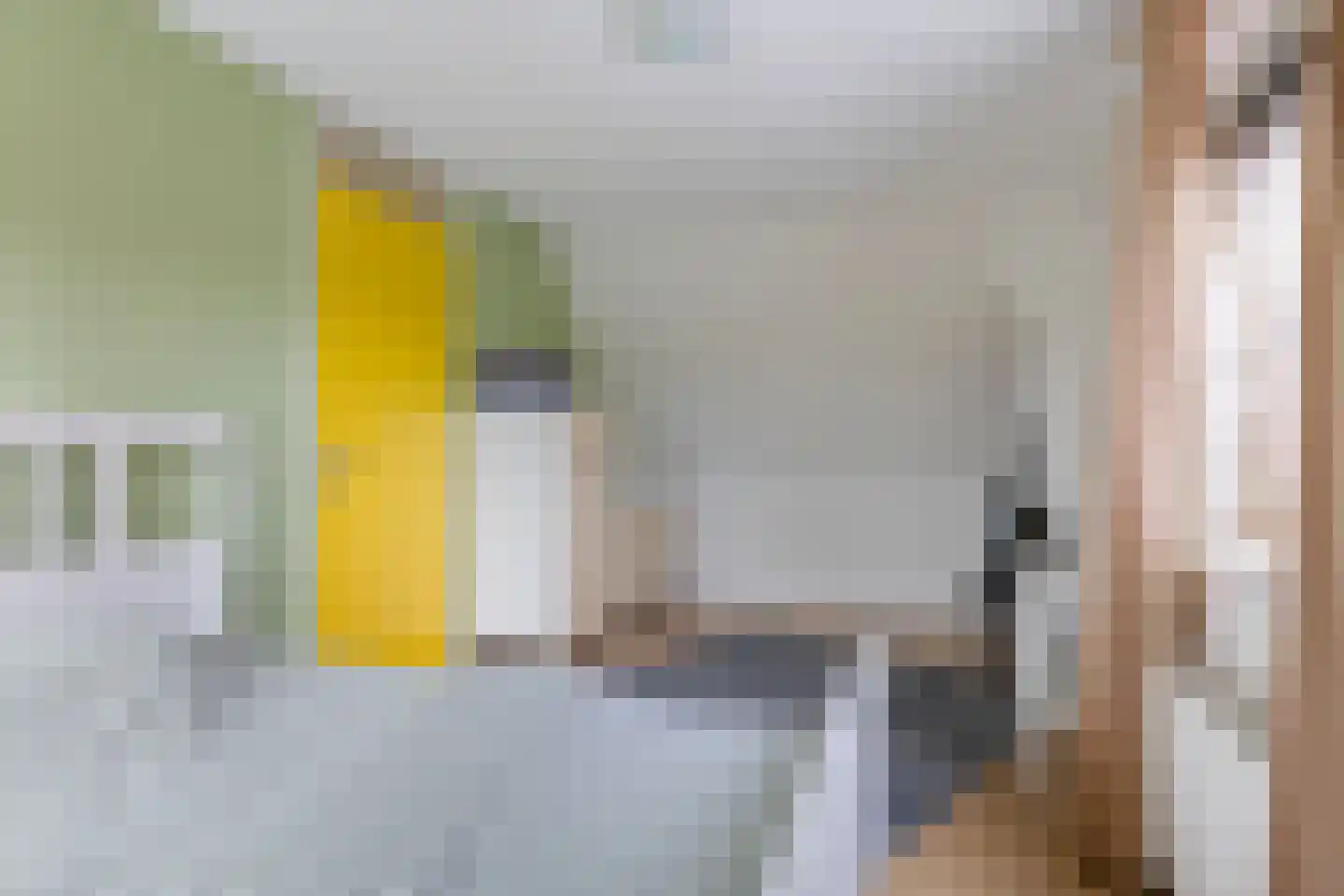 Swanneblom 8 Koudum thumbnail 31