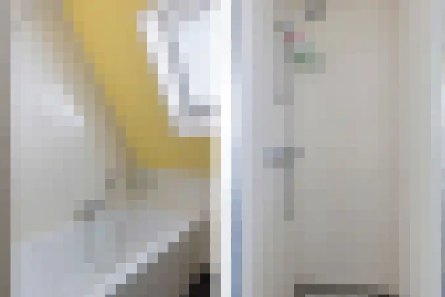 Swanneblom 8 Koudum thumbnail 35