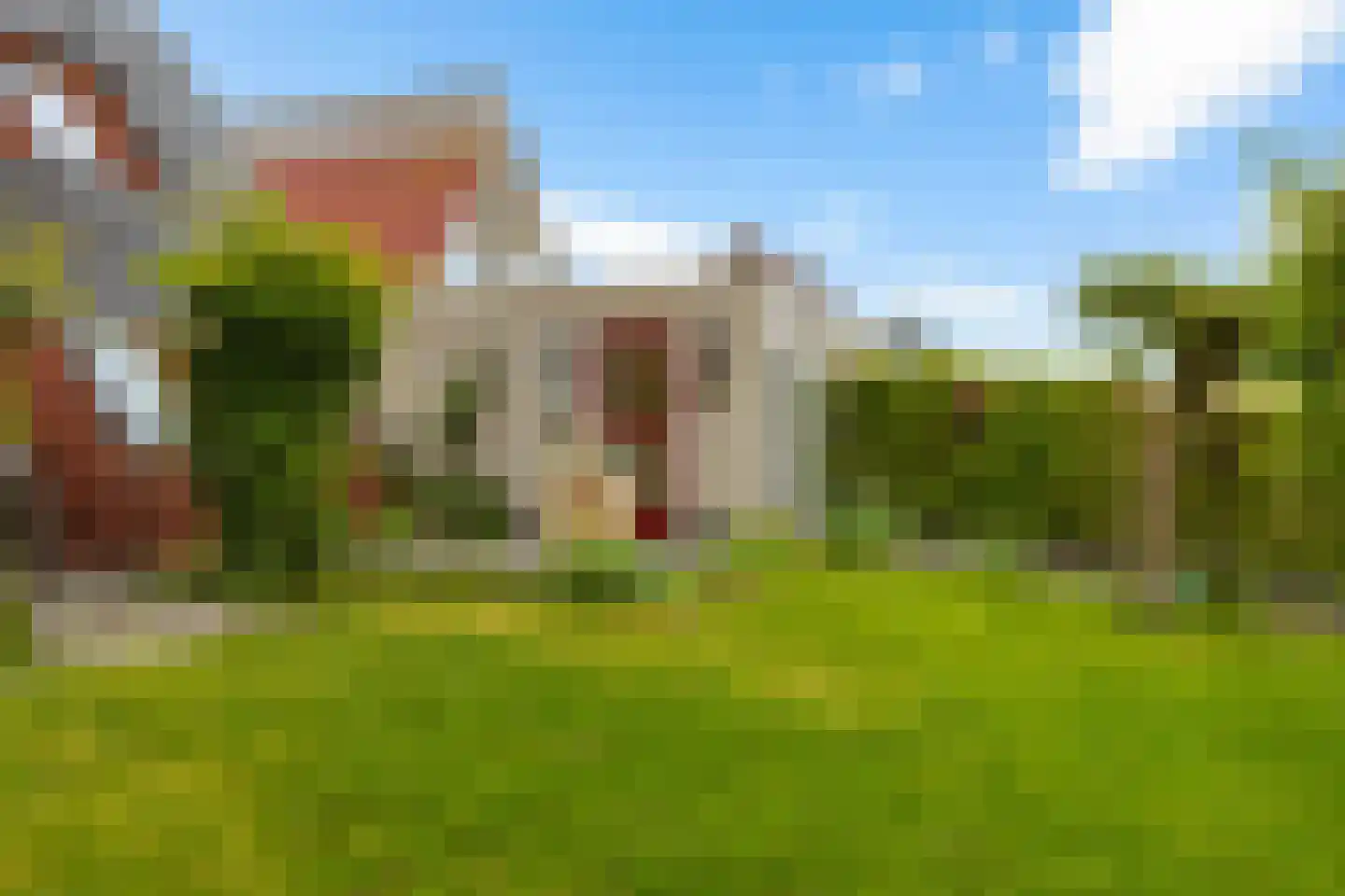 Swanneblom 8 Koudum thumbnail 37
