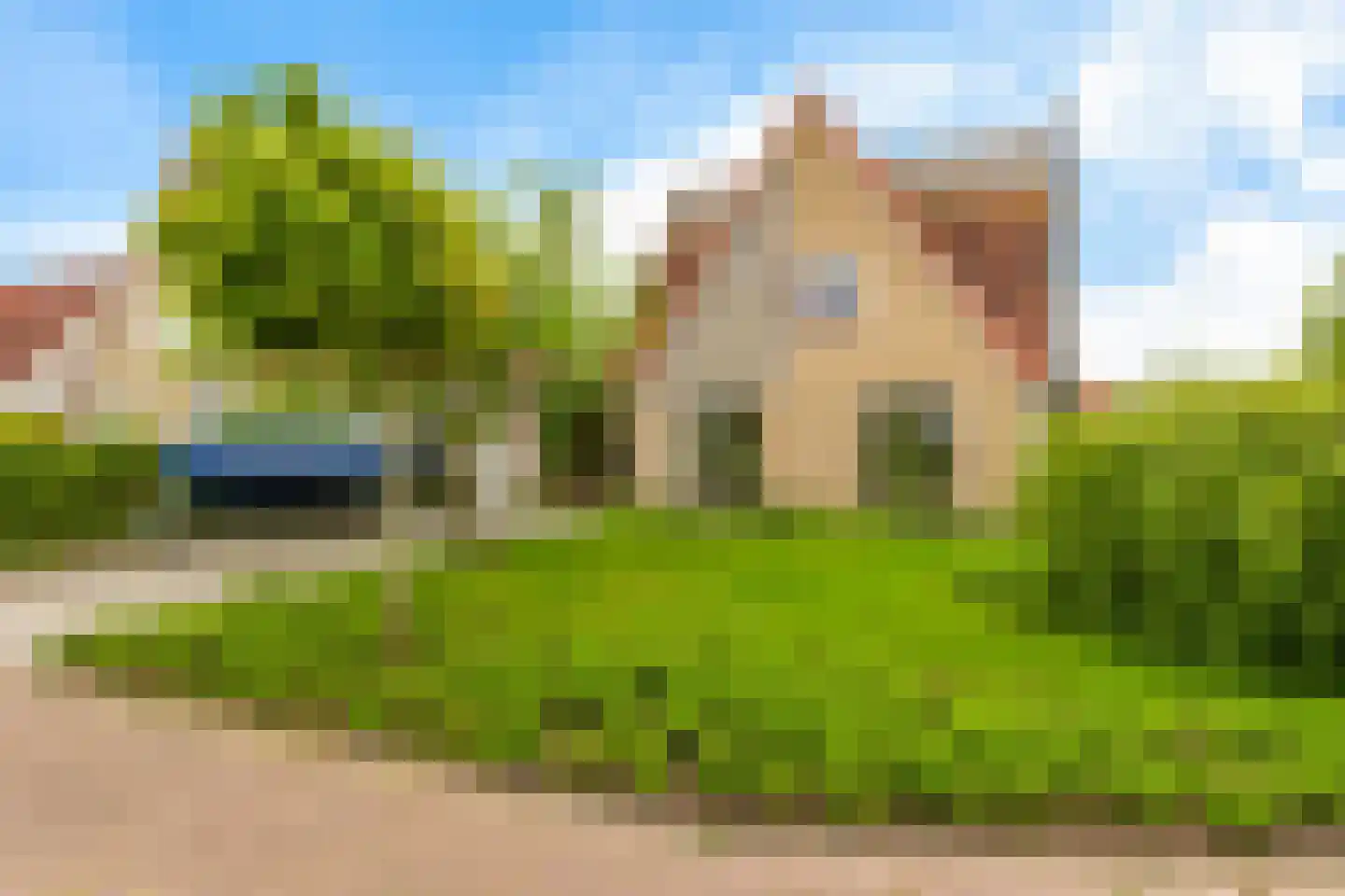 Swanneblom 8 Koudum thumbnail 4