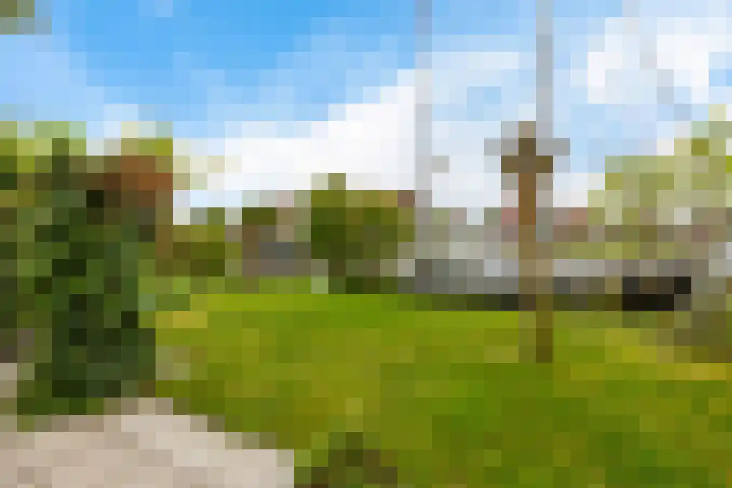Swanneblom 8 Koudum thumbnail 40