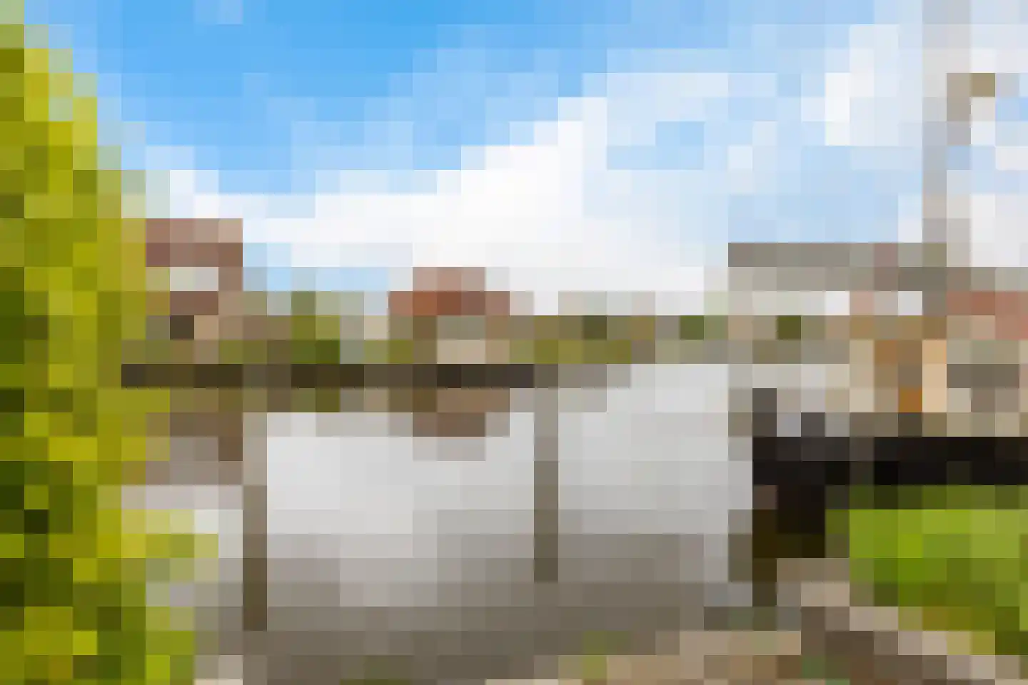Swanneblom 8 Koudum thumbnail 41
