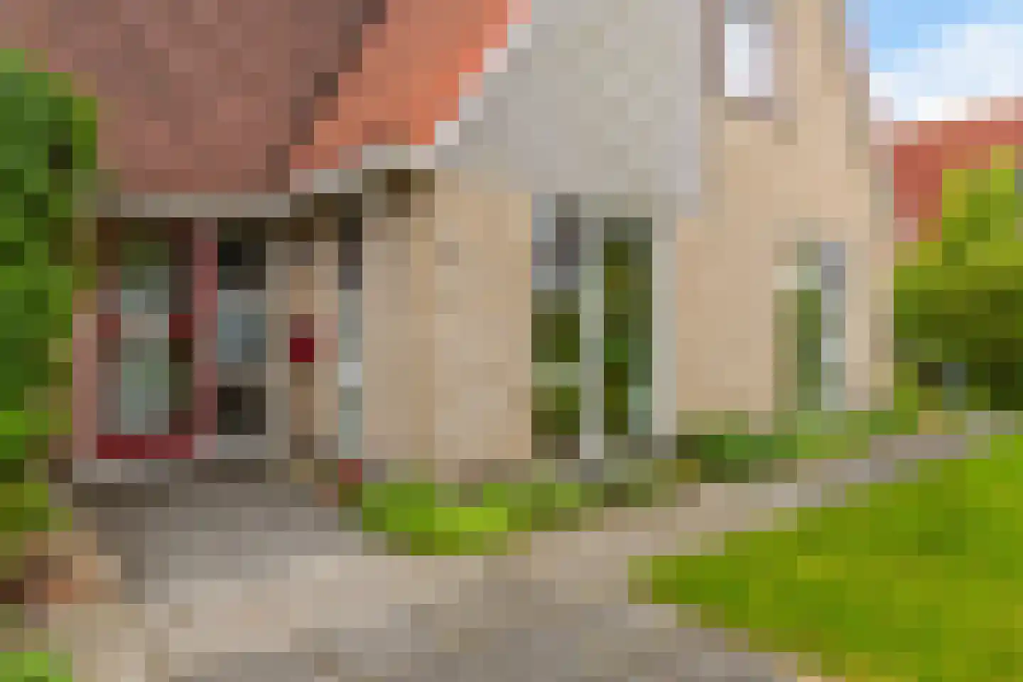 Swanneblom 8 Koudum thumbnail 42