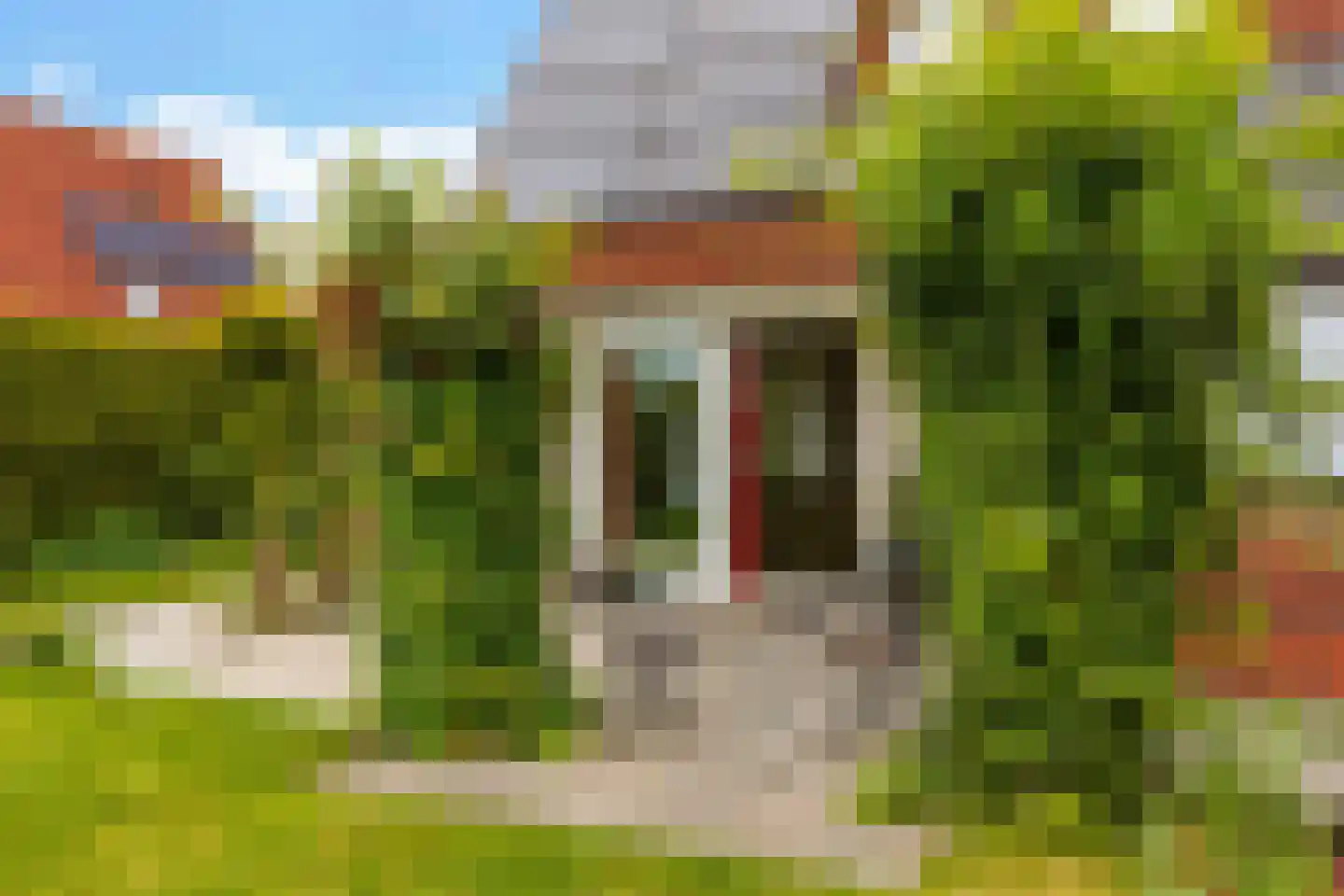 Swanneblom 8 Koudum thumbnail 43