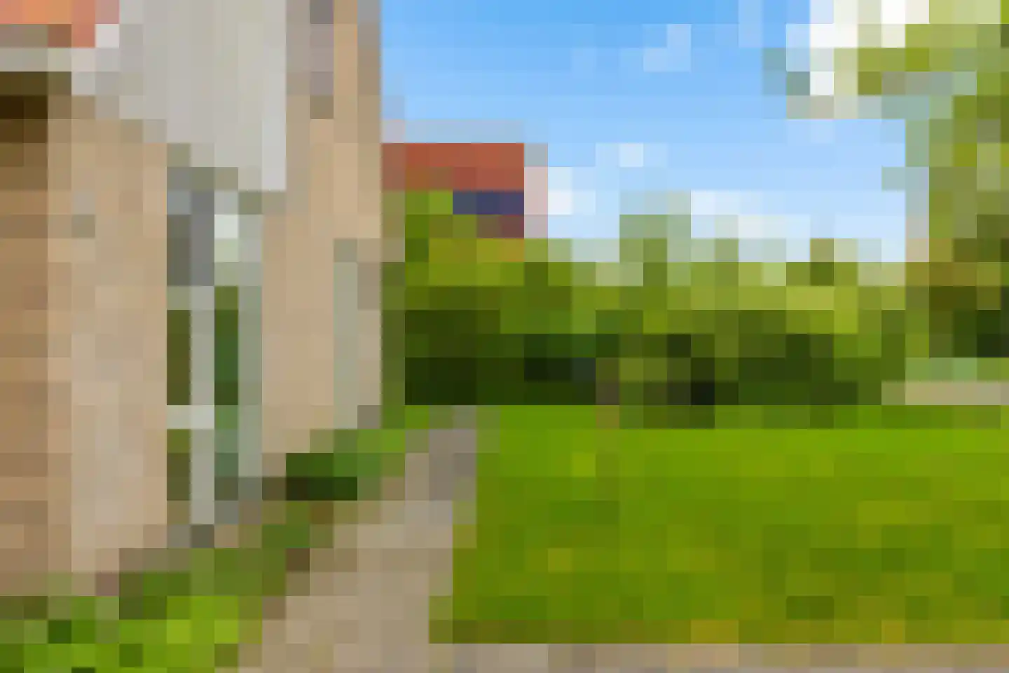 Swanneblom 8 Koudum thumbnail 45