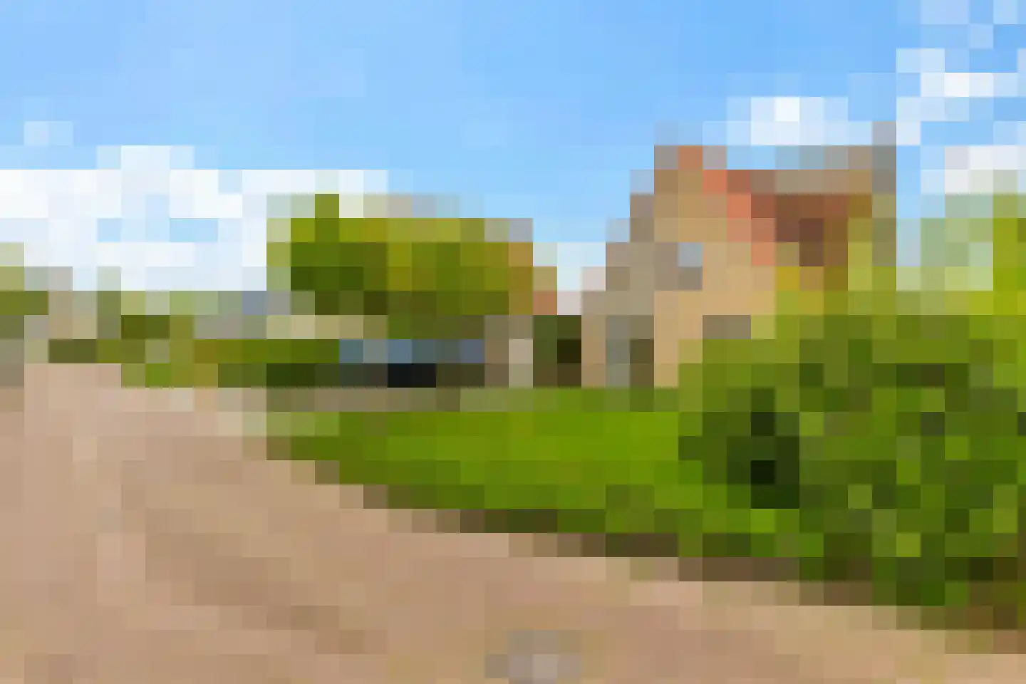 Swanneblom 8 Koudum thumbnail 46