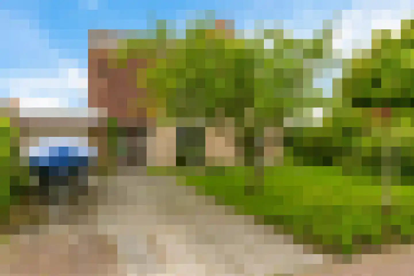 Swanneblom 8 Koudum thumbnail 47