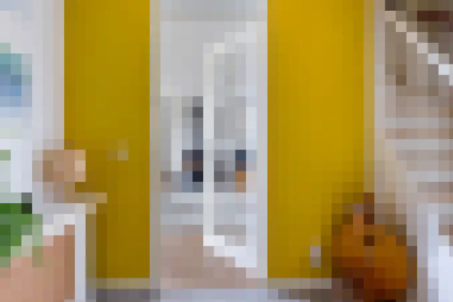 Swanneblom 8 Koudum thumbnail 5